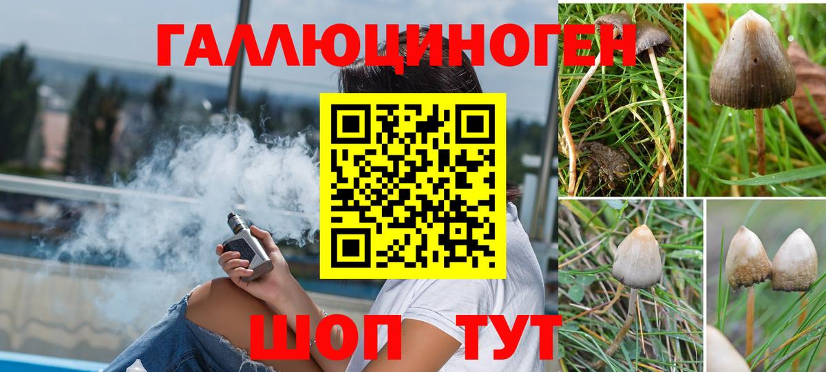 Галлюциногенные грибы MAGIC MUSHROOMS  Вход с VPN  Псилоцибиновые грибы GOLDEN TEACHER  Сокол 